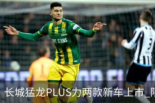长城猛龙PLUS力两款新车上市 限时换新价17.78万元起
