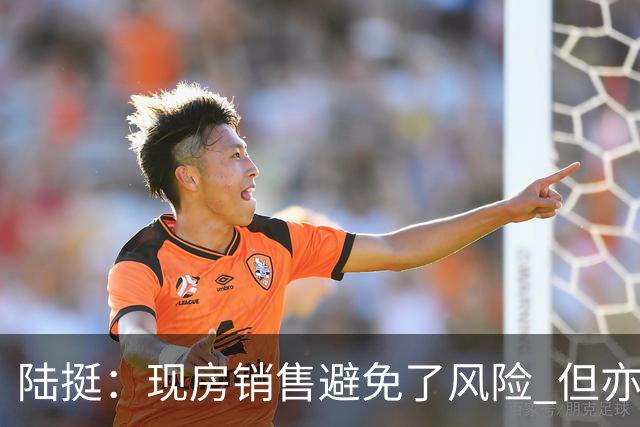 陆挺：现房销售避免了风险 但亦存在现实问题